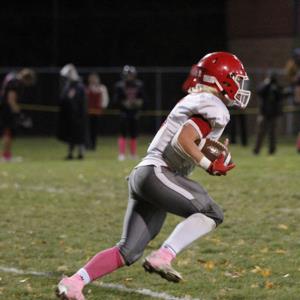 Austin Swenson mugshot