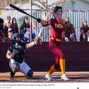 Malina Viruet mugshot