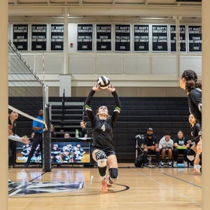 Avery Johnson mugshot