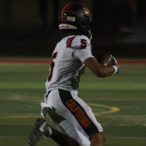 Darius Brown mugshot