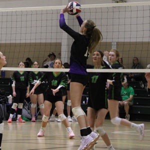 Alexis Gosnell mugshot