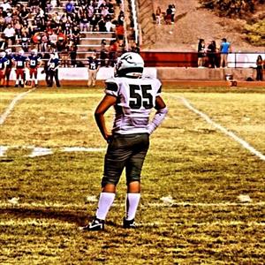 MICHAELANGELO LEAPINGWOLF