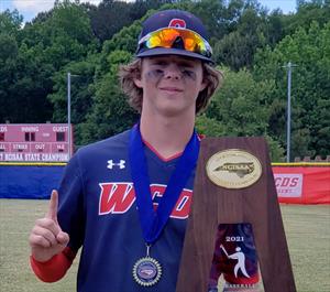 Braeden Collins mugshot