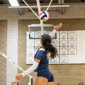 Lola Howsley mugshot