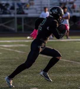 Star Jamison mugshot