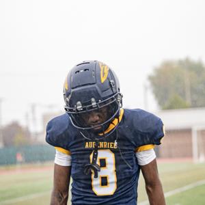 Nickye Brown mugshot