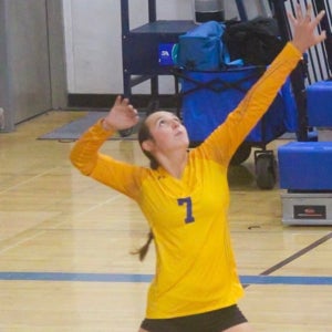 Harlow Barajas mugshot