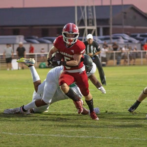 Hudson Howard mugshot