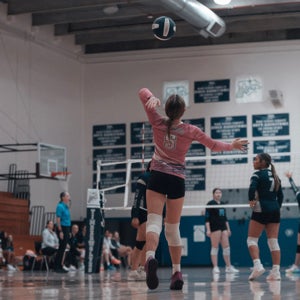 Addison Leapaldt
