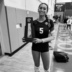 Vivian Scuteri mugshot