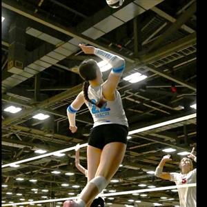 Reese Aracri mugshot