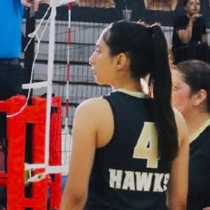 Aliana Zermeno mugshot