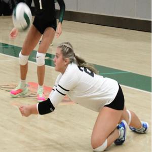 Nadelyn Dodson mugshot