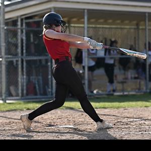 Cindi Howard mugshot