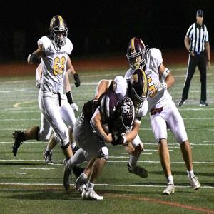 Mike Ricupero mugshot