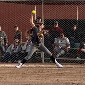 Presley Wells mugshot