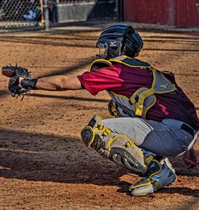 Charles Harding mugshot