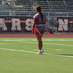 Adelaida Ibañez-Eddy mugshot