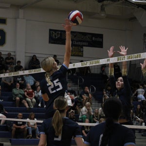 Lauren Miller mugshot