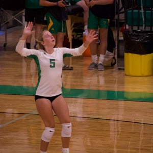 Addy Hocking
