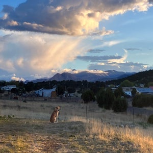 Tyler Painter mugshot
