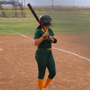 Damaris Barcenas mugshot