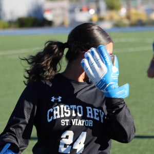 Analise Pineda mugshot