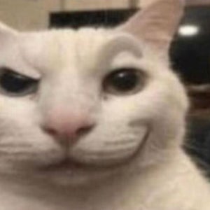 Arlette Sotelo-Ayala mugshot