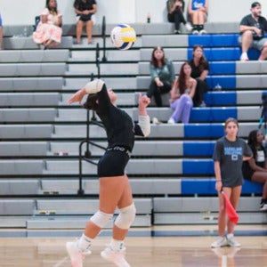 Savannah Wilkins mugshot