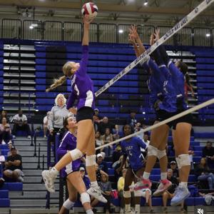 Sienna Shelton mugshot