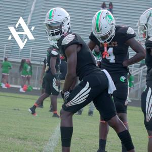 Damarion Alberic mugshot