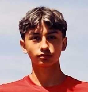 Vicente Villalobos mugshot