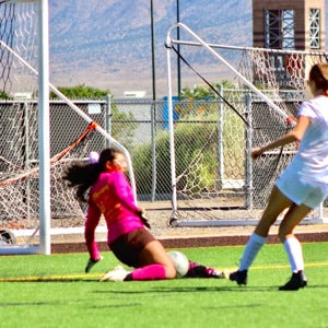 Karina Arellanes mugshot