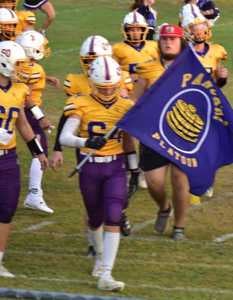 Fisher Sullivan