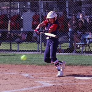 Janmarie Topalian mugshot