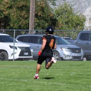 TERRELL BUSH