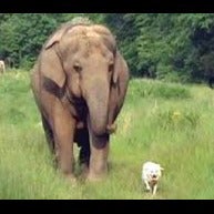 Tyrese Jones mugshot