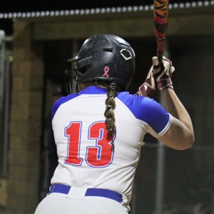 Audra Higgins mugshot