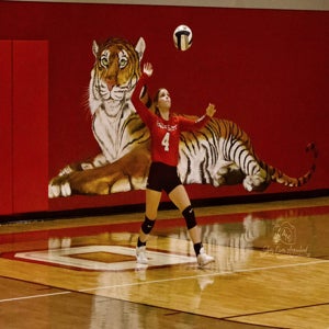 Scarlet Aaron mugshot