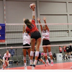 Lauren Tisler