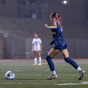 isabel Avila mugshot