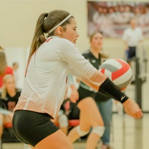 Camryn Scherer mugshot