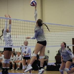 Davanie Tarleton mugshot