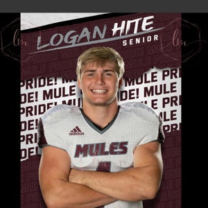 Logan Hite mugshot