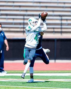 Ron Gallegos iii mugshot