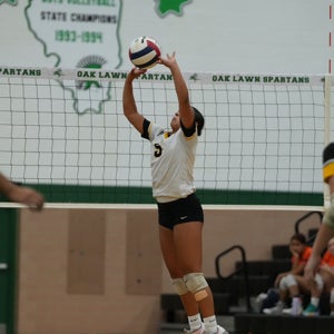 Vianne Villa mugshot