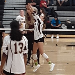 Samantha Wells mugshot