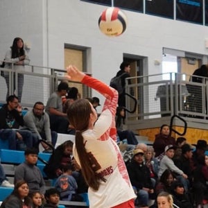 Sarah Williams mugshot