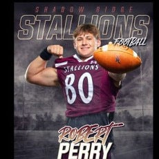 Robert Perry mugshot