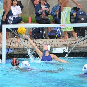 Addison Head mugshot